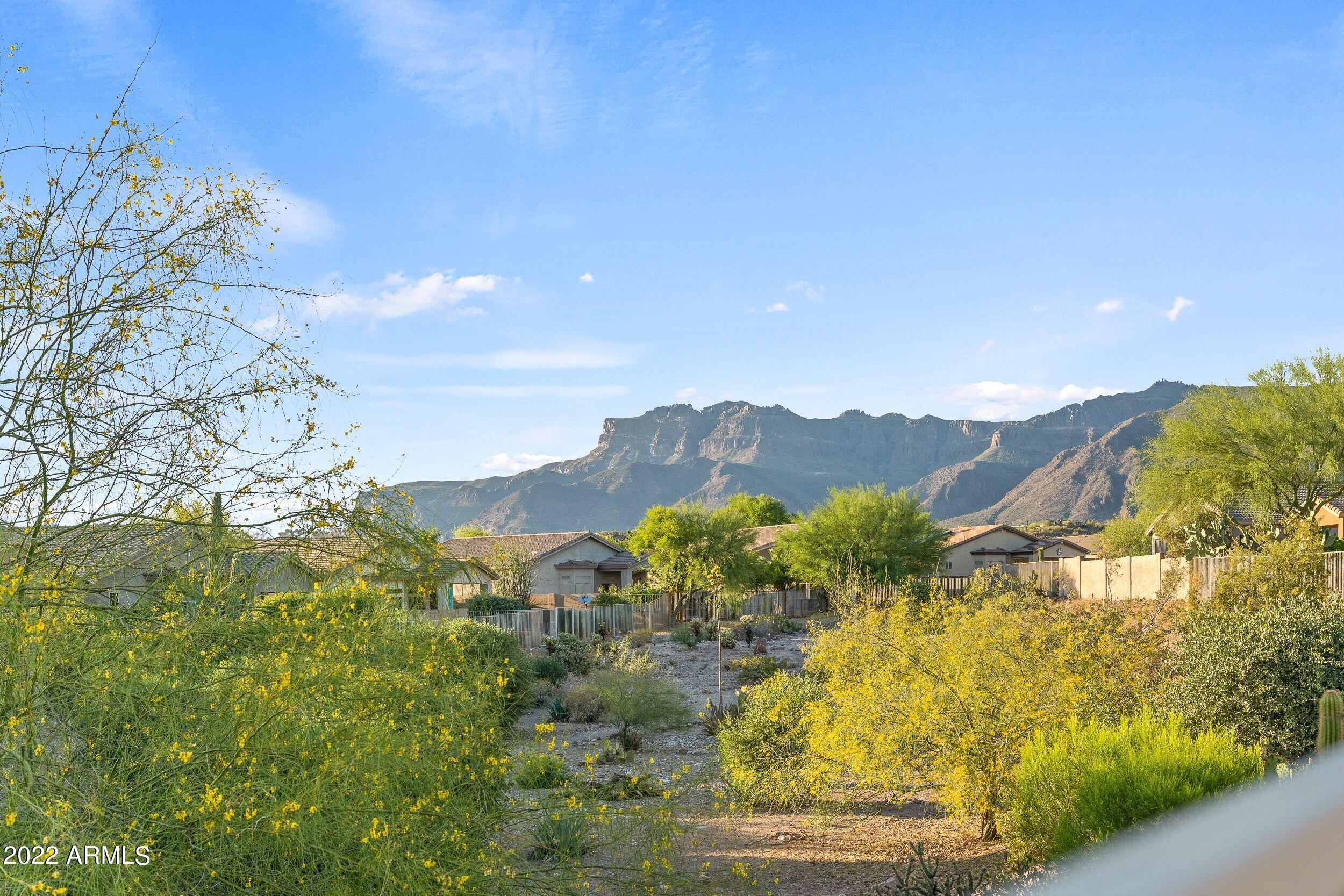4348 South Pony Rider Trail Gold Canyon, AZ 85118 - Photo 8 of 36 Back yard views
