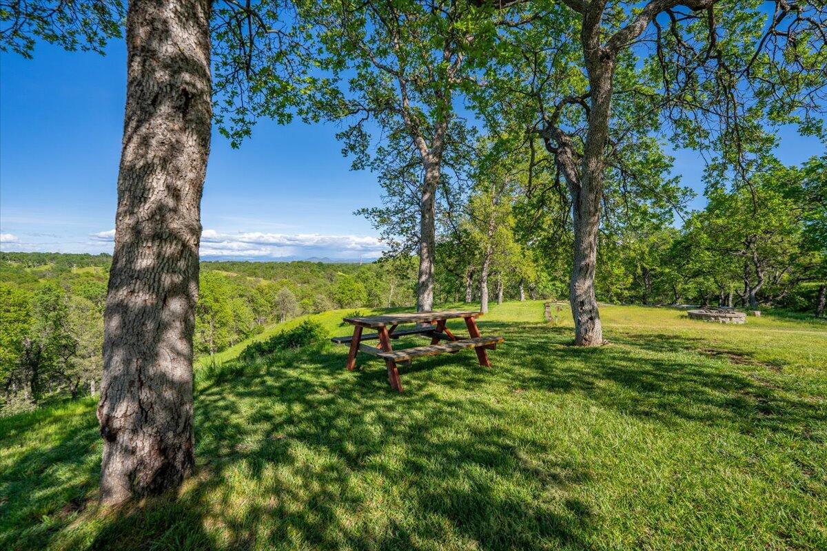 20410 Mallorca Lane Red Bluff, CA 96080 - Photo 28 of 37 a view of a yard with a tree