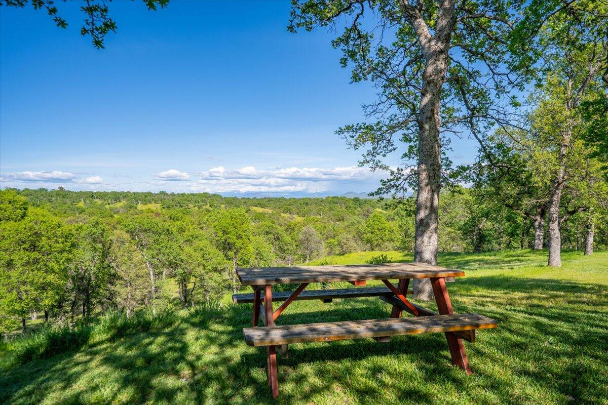 20410 Mallorca Lane Red Bluff, CA 96080 - Photo 30 of 37 a view of a park with large trees