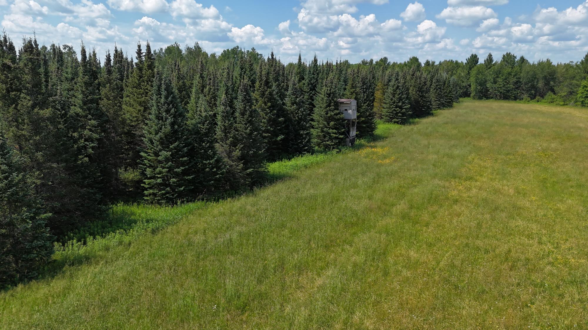 On Hilmar Olson Road Ogema, WI 54459 - Photo 17 of 28