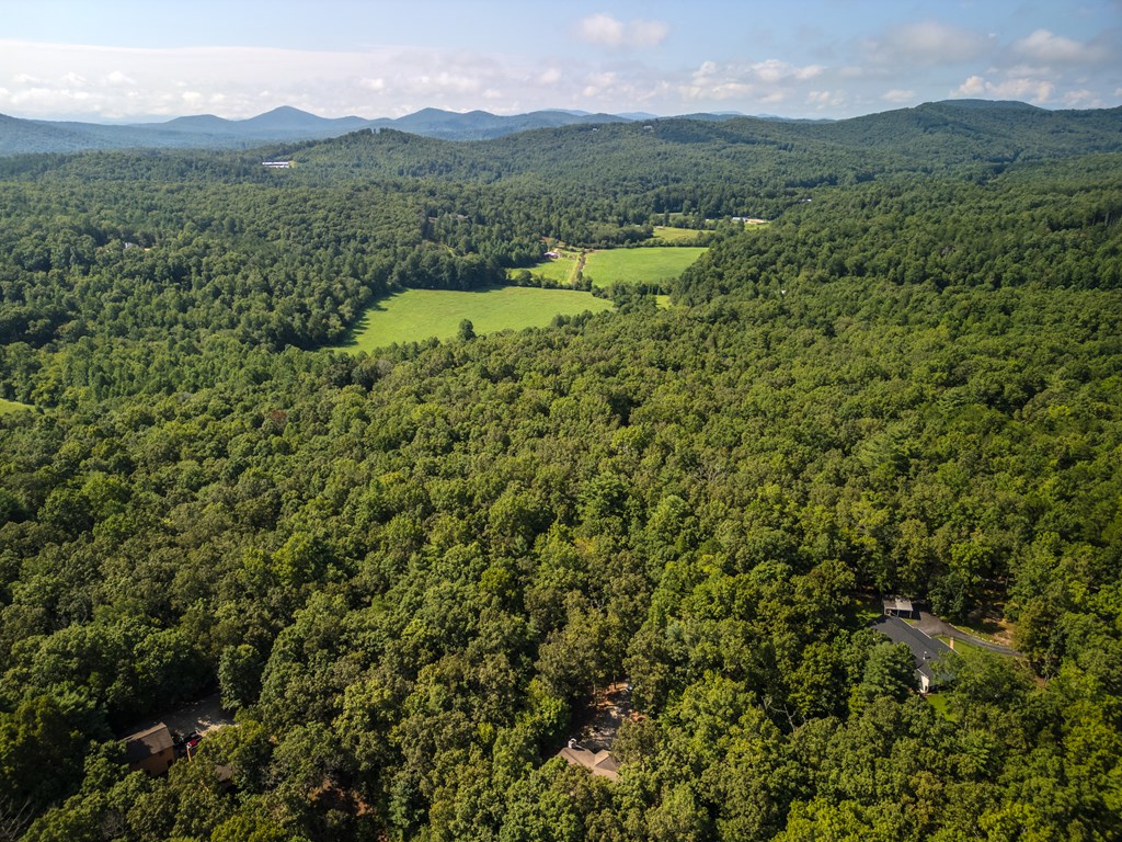 77 Chosen Ridge Morganton, GA 30560 - Photo 11 of 37 a view of a town with a lush green hillside and a houses
