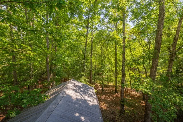 a view of yard from deck