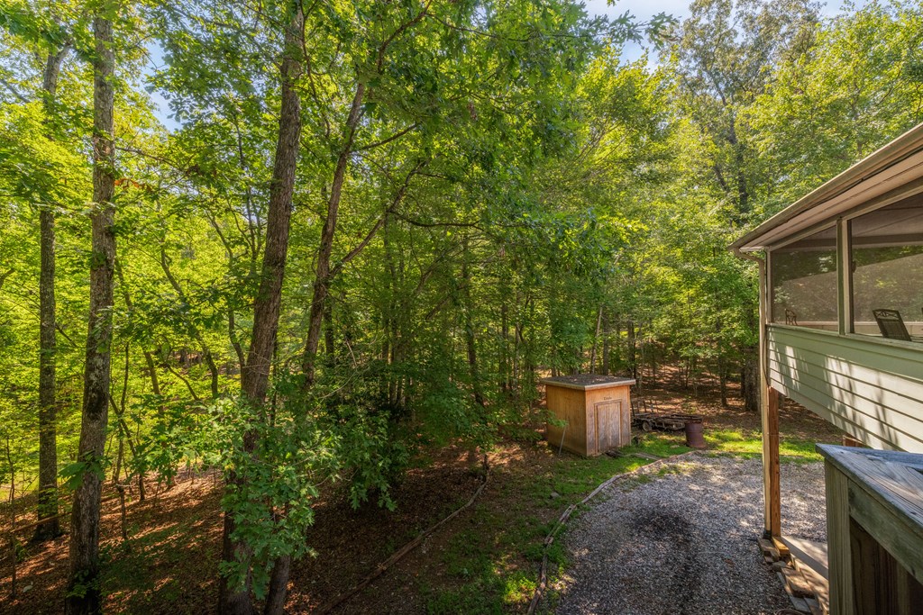 77 Chosen Ridge Morganton, GA 30560 - Photo 15 of 37 a view of a backyard with potted plants and large trees