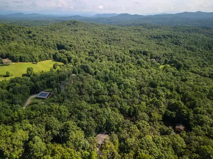 a view of a lush green forest with trees and some houses
