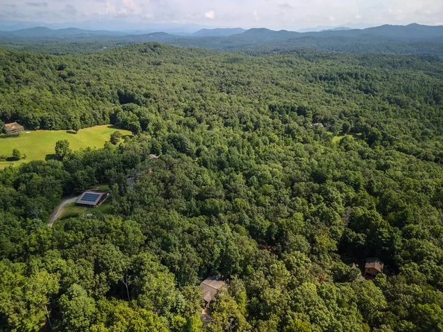 a view of a lush green forest with trees and some houses