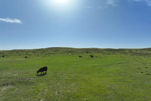 $1,999,000 | 144 Oleo Acres Road, Moorcroft, WY 82721