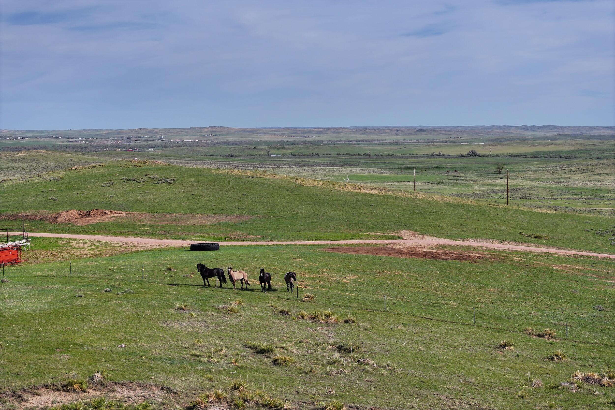 144 Oleo Acres Road Moorcroft, WY 82721 - Photo 39 of 41 40