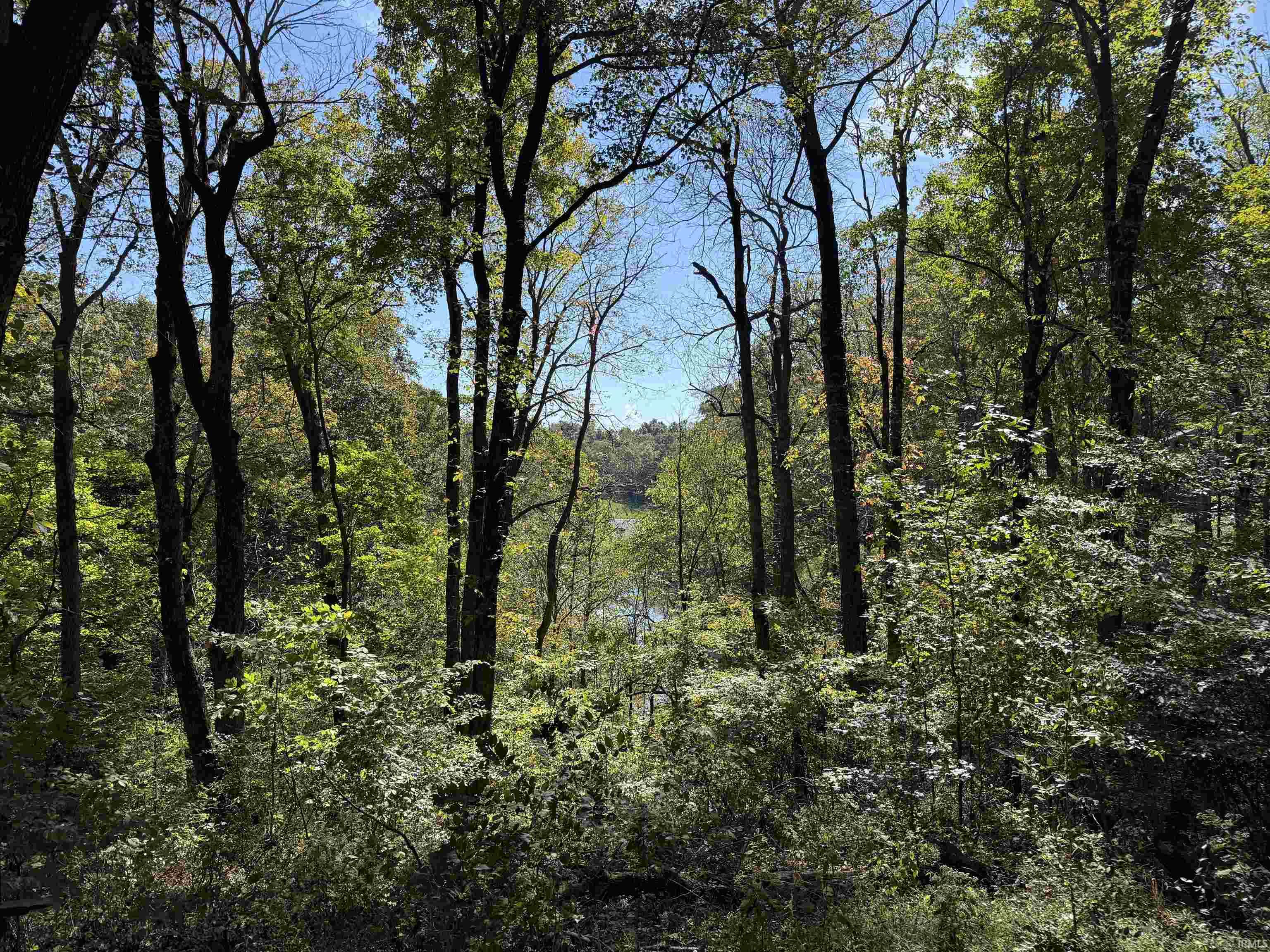 7251 Lotticks Corner Road Southeast Elizabeth, IN 47117 - Photo 34 of 35