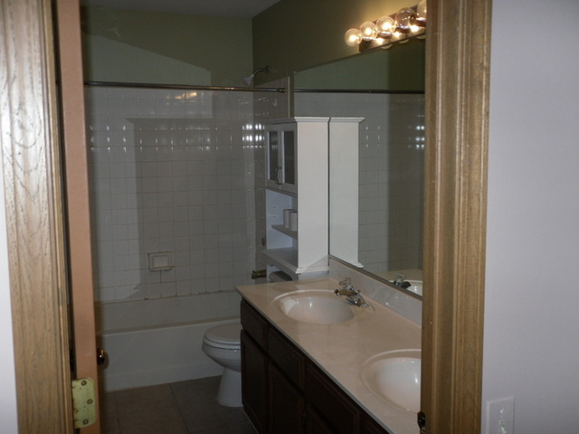 9 North Oltendorf Road Streamwood, IL 60107 - Photo 12 of 14 a bathroom with a double vanity sink a toilet and a mirror