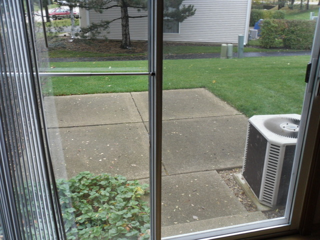 9 North Oltendorf Road Streamwood, IL 60107 - Photo 13 of 14 a view of backyard from door