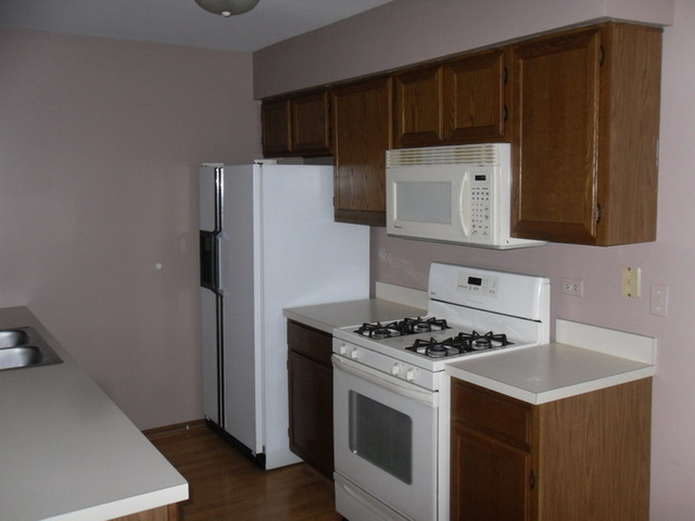 9 North Oltendorf Road Streamwood, IL 60107 - Photo 6 of 14 a kitchen with a stove and a refrigerator