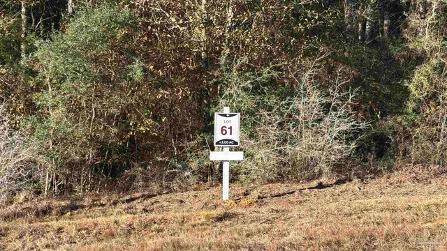 $89,900 | Lot 61 Straw Bridge Road, Jay, FL 32565