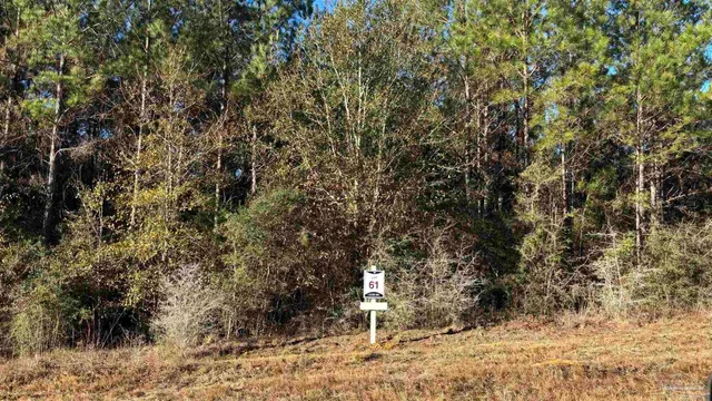 $89,900 | Lot 61 Straw Bridge Road, Jay, FL 32565
