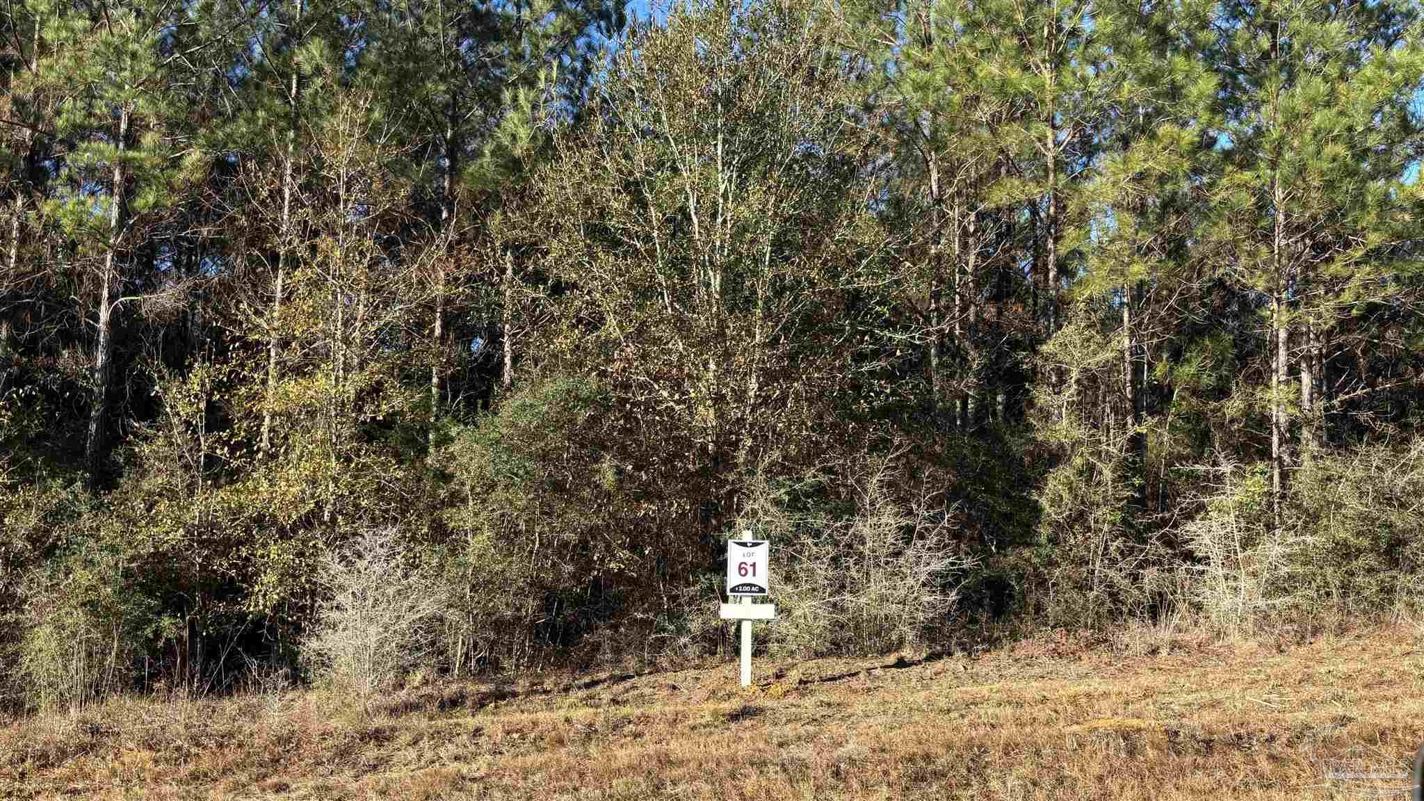 Lot 61 Straw Bridge Road Jay, FL 32565 - Photo 2 of 7