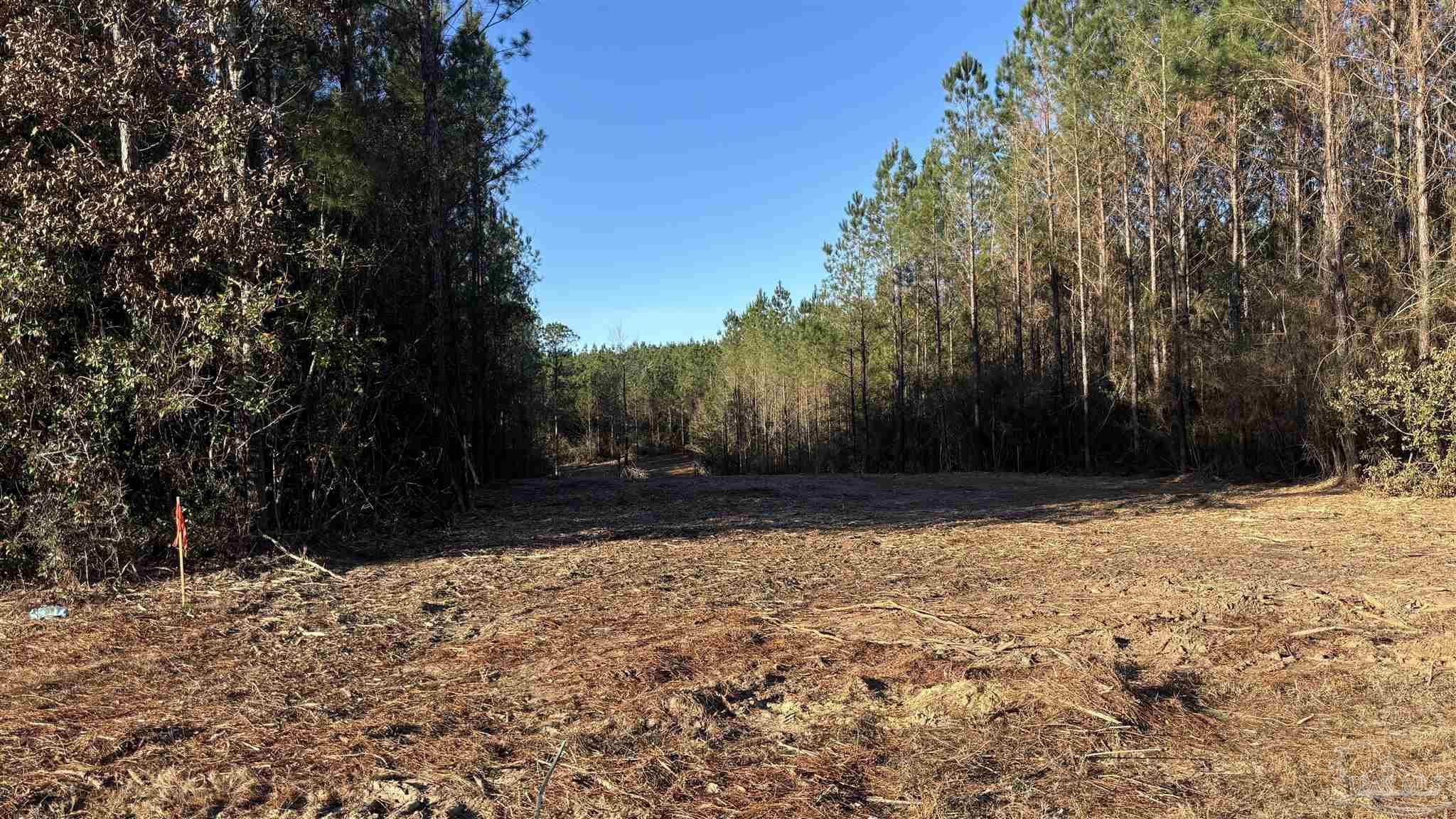 Lot 61 Straw Bridge Road Jay, FL 32565 - Photo 3 of 7