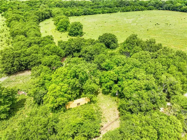 a view of an ocean from a yard