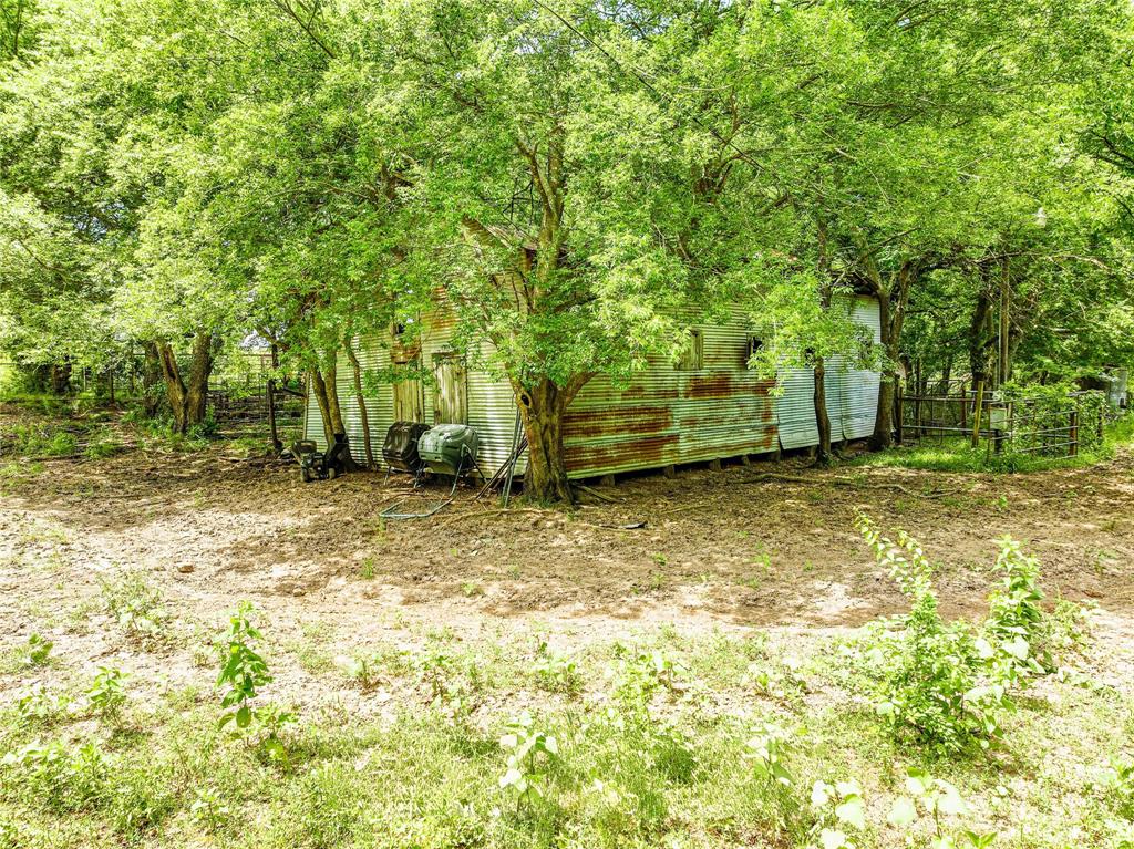 7008 Cr-1019 Celeste, TX 75423 - Photo 18 of 27 a view of a backyard with large trees