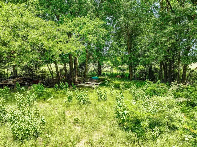 a view of backyard with green space