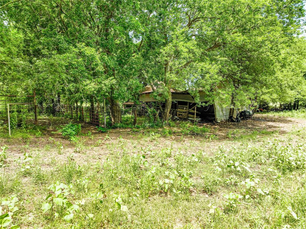 7008 Cr-1019 Celeste, TX 75423 - Photo 20 of 27 a backyard of a house with lots of green space