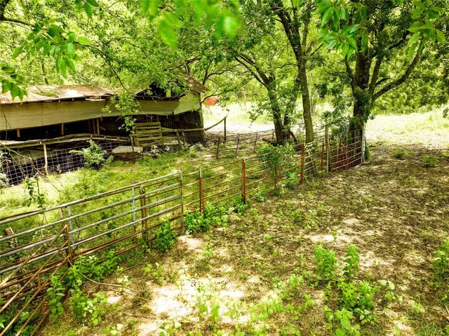 a backyard of a house with lots of plants and large trees