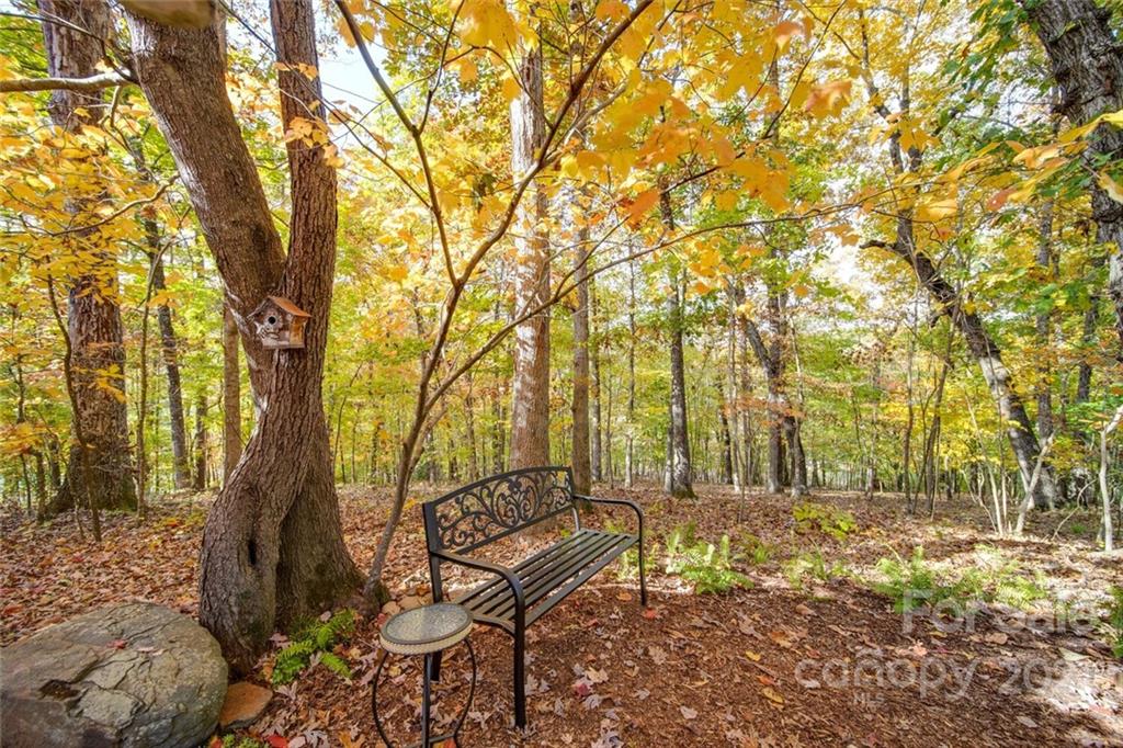 105 Den Road Wadesboro, NC 28170 - Photo 12 of 47 a view of backyard with trees
