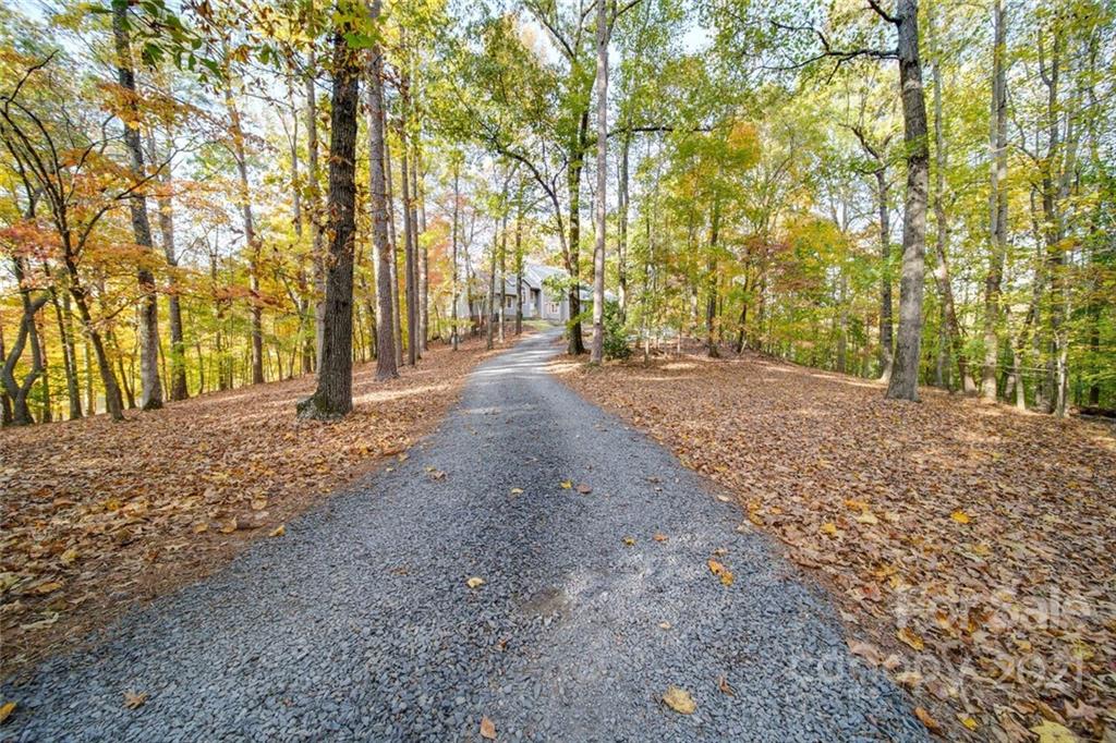 105 Den Road Wadesboro, NC 28170 - Photo 7 of 47 a view of road and trees