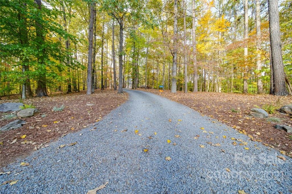 105 Den Road Wadesboro, NC 28170 - Photo 8 of 47 a view of a yard with large trees