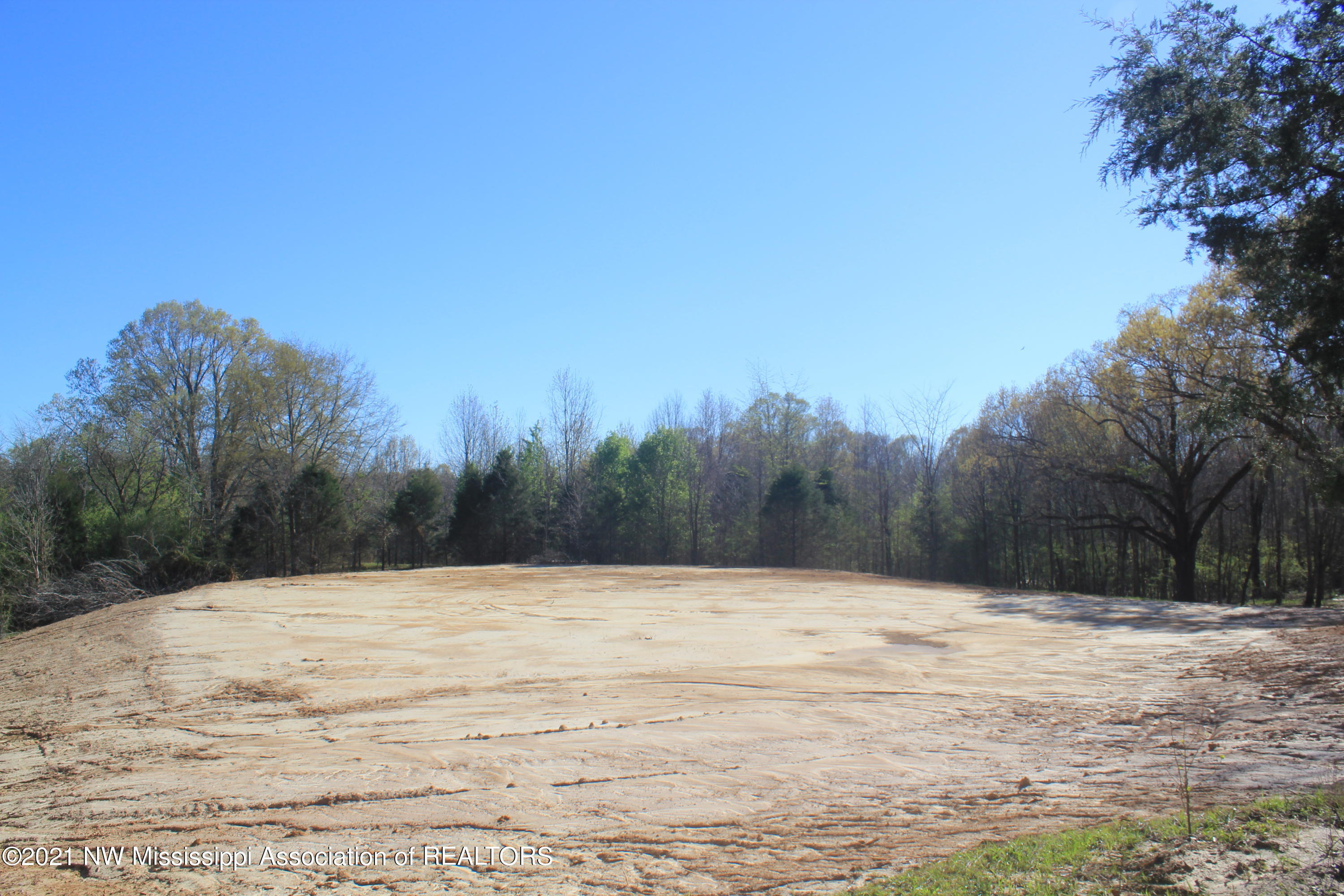 4220 Getwell Road South Hernando, MS 38632 - Photo 23 of 31 IMG_5985