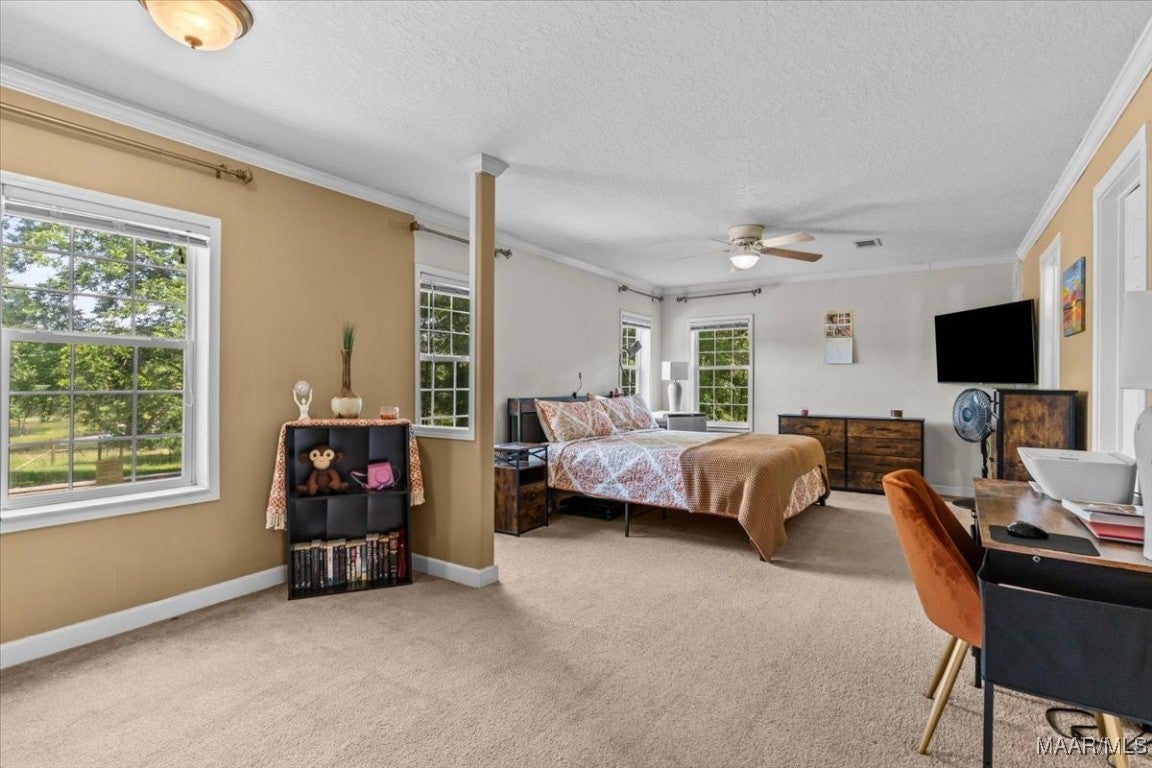 30751 Holmes Langford Road Opp, AL 36467 - Photo 13 of 32 Gallery Image 13