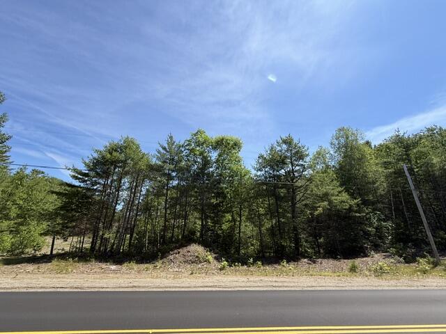 Lot 5-10 Charlotte Road Charlotte, ME 04666 - Photo 5 of 24 IMG_1698 (1)
