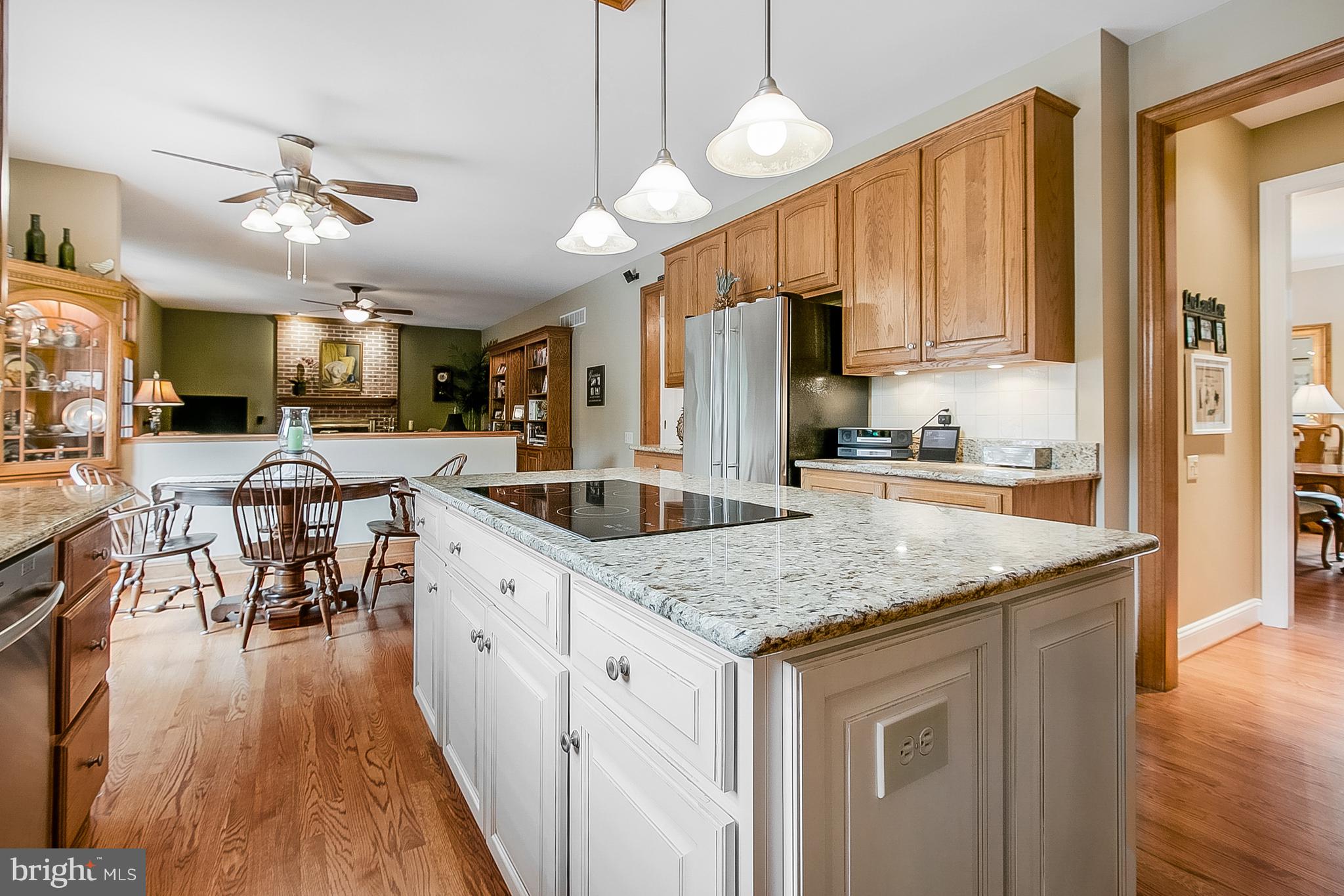 525 Ridgeview Drive Hockessin, DE 19707 - Photo 13 of 57 Another Lovely Kitchen View Looking Into Family Rm