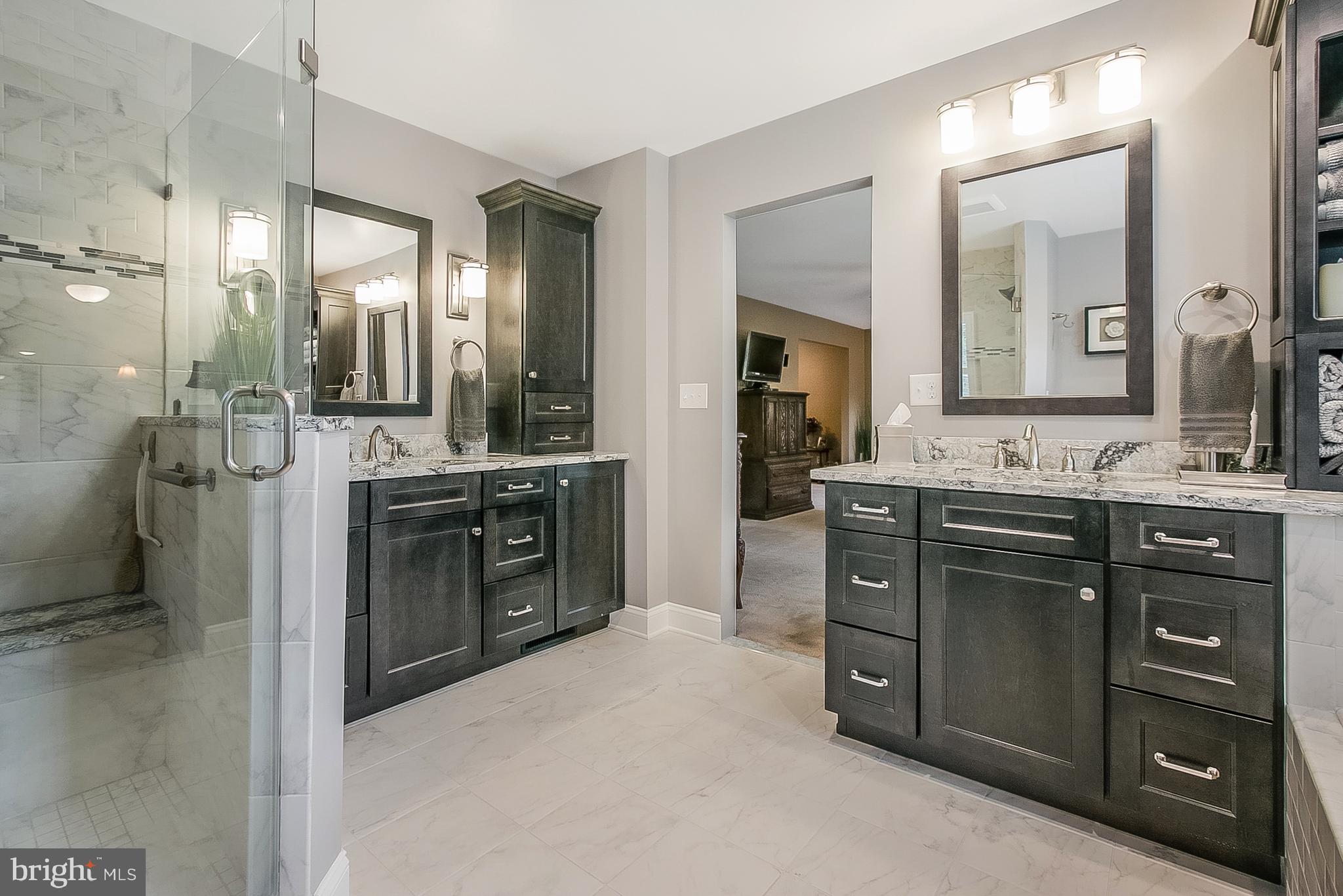 525 Ridgeview Drive Hockessin, DE 19707 - Photo 26 of 57 Another View of the Amazing Master Bath