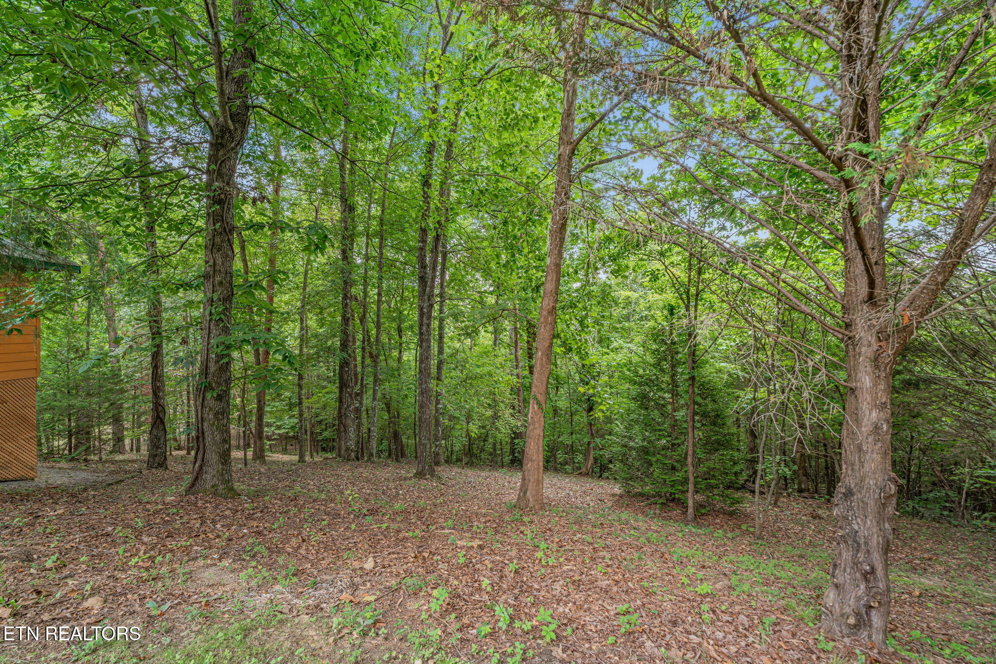 414 Shaddon Road Tellico Plains, TN 37385 - Photo 35 of 56 50-web-or-mls-414 Shaddon Road-24