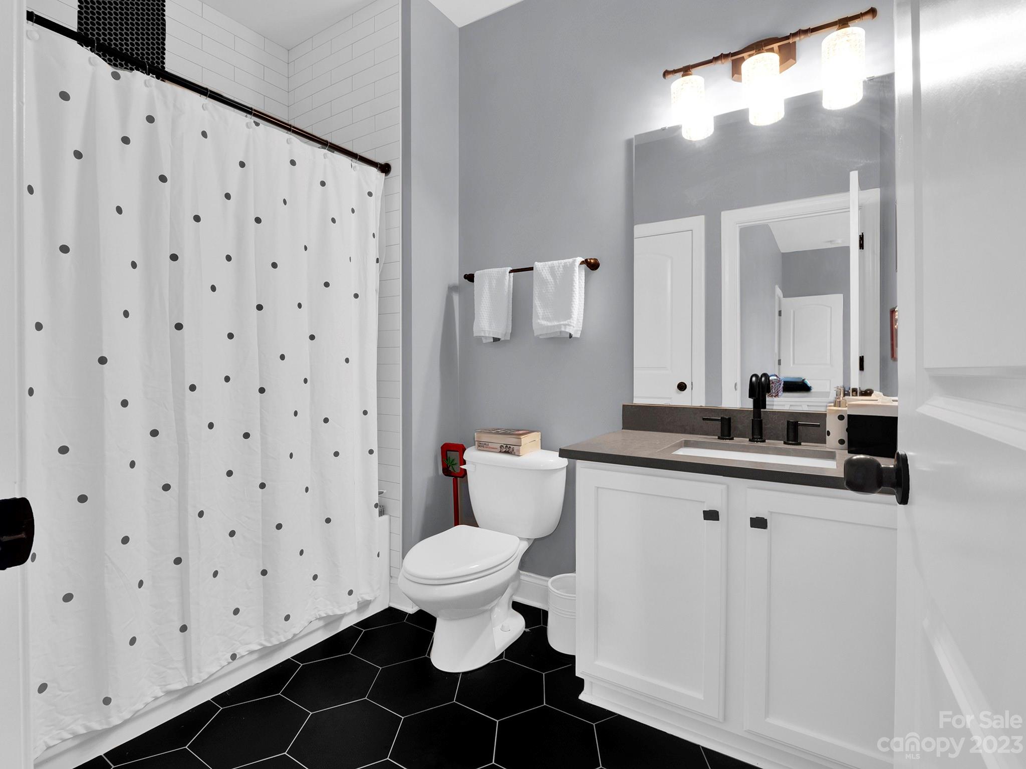 4226 Morris Park Drive, Unit 2 Mint Hill, NC 28227 - Photo 48 of 48 a bathroom with a sink and a mirror