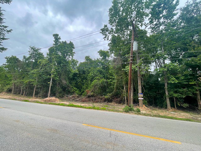 1 Sleepy Hollow Road Conroe, TX 77385 - Photo 2 of 10