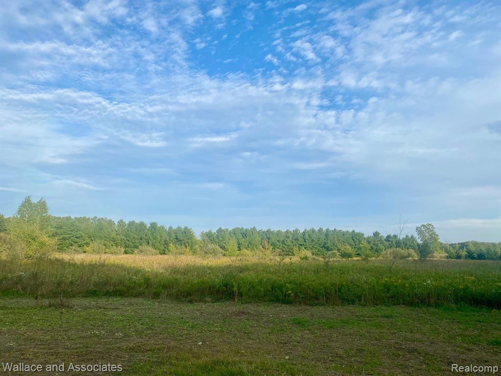 V/l Gardner Line Road Croswell, MI 48422 - Photo 6 of 6