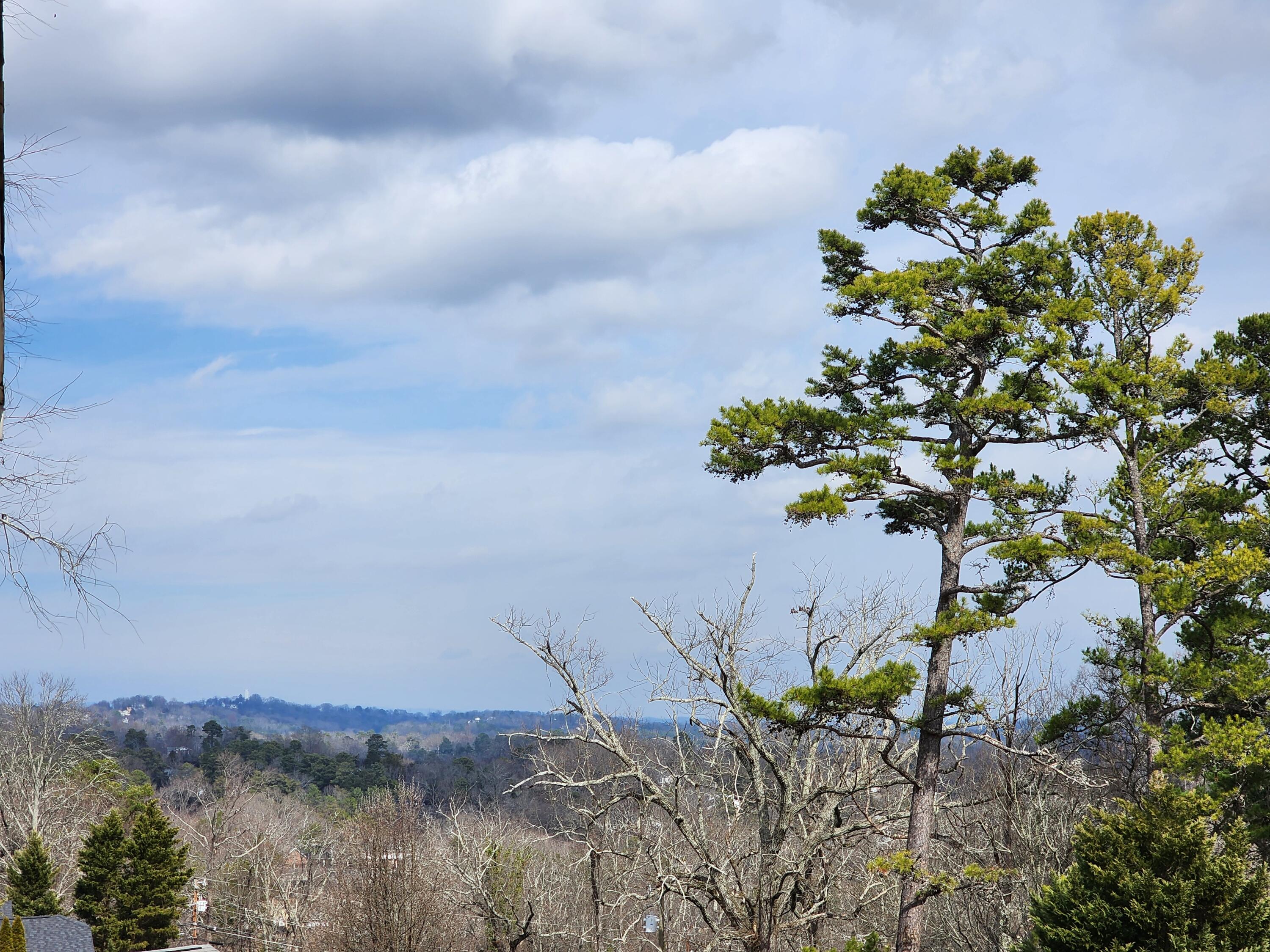 317 Signal Drive Rossville, GA 30741 - Photo 31 of 33 1000051488