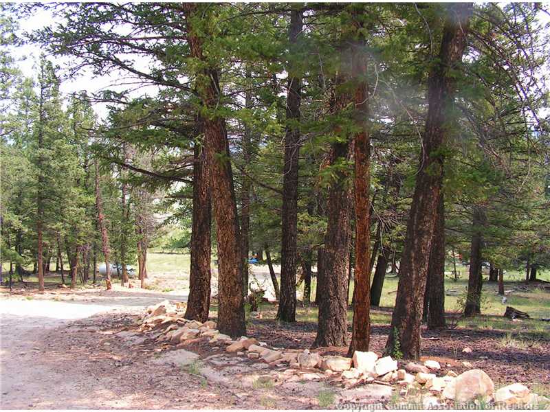 1610 Redhill Road Fairplay, CO 80440 - Photo 20 of 25 Land/Lot. 3.25 acres of a park like setting will give you privacy and quiet!!