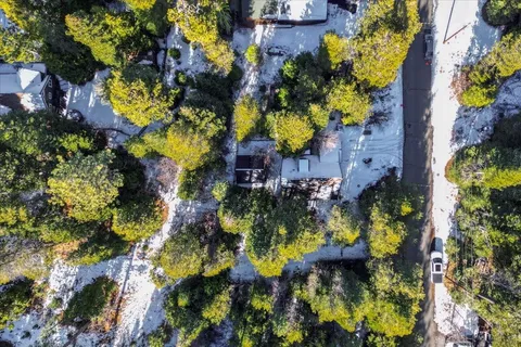a view of a bunch of flowers and trees