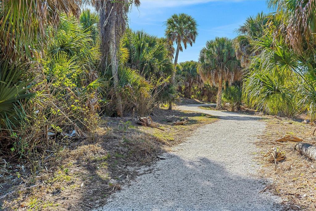 12410 Osorio Court, Unit 201 Sarasota, FL 34238 - Photo 24 of 42 a view of a yard with plants and trees