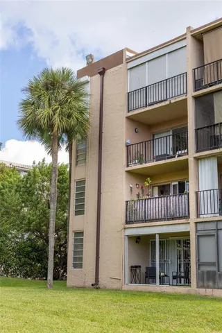 a view of a yard with palm trees