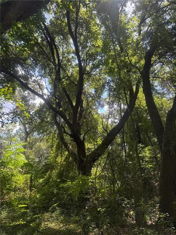 0 Cowart Road Bush, LA 70431 - Photo 9 of 10