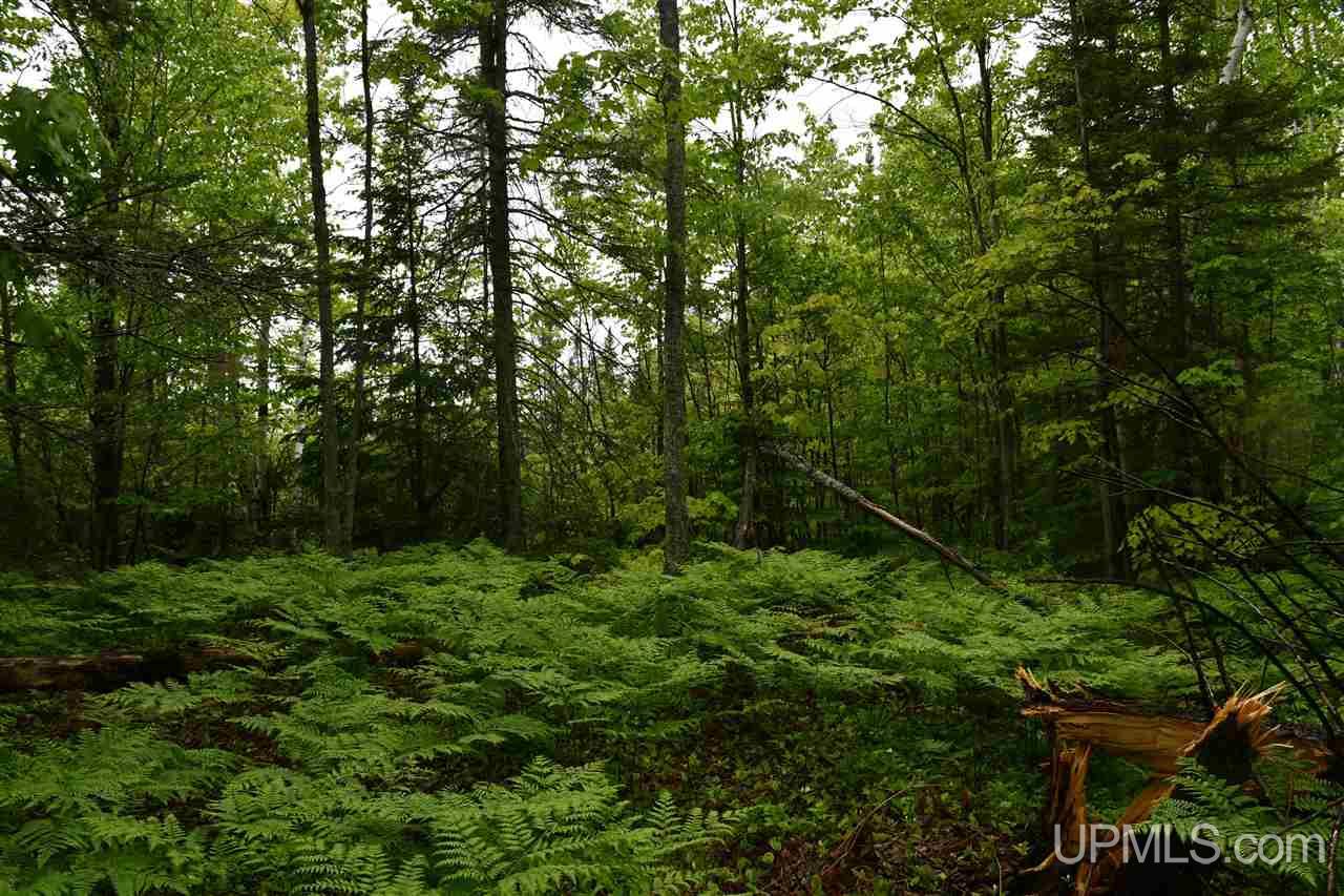 Tbd Mud Lake Road Lake Linden, MI 49945 - Photo 16 of 28