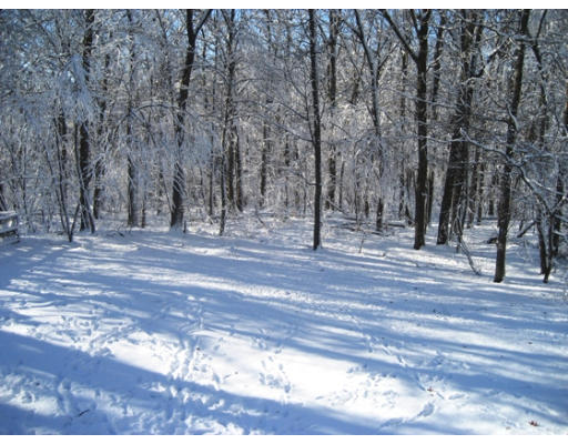 27 Gilbert Road Needham, MA 02492 - Photo 9 of 10 a view of outdoor space with trees
