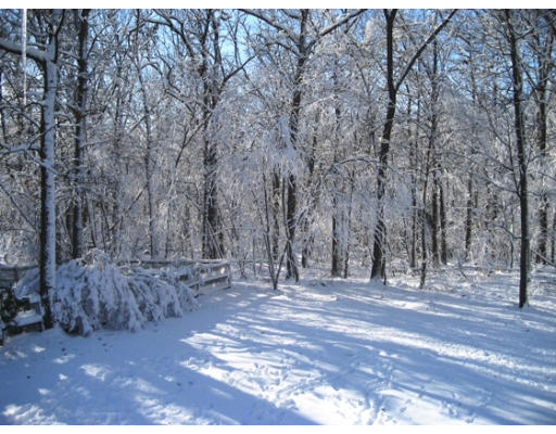 27 Gilbert Road Needham, MA 02492 - Photo 10 of 10 a view of outdoor space with trees