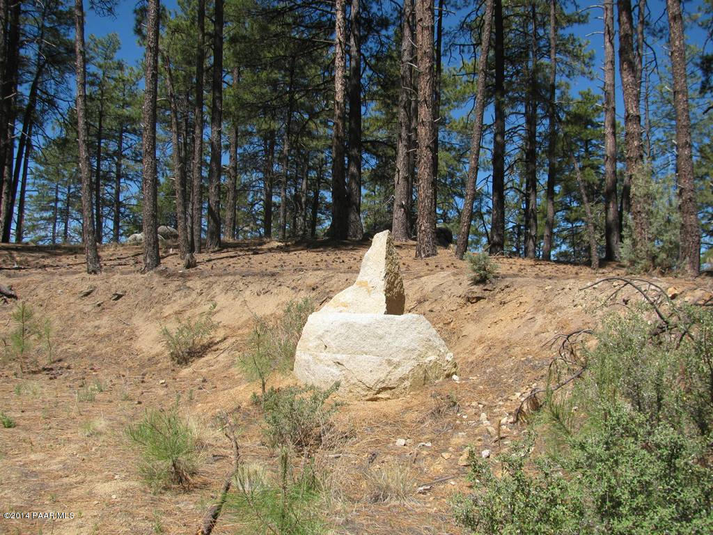 Lot 013 Copper Basin Road Prescott, AZ 86303 - Photo 6 of 10 a view of a yard with trees