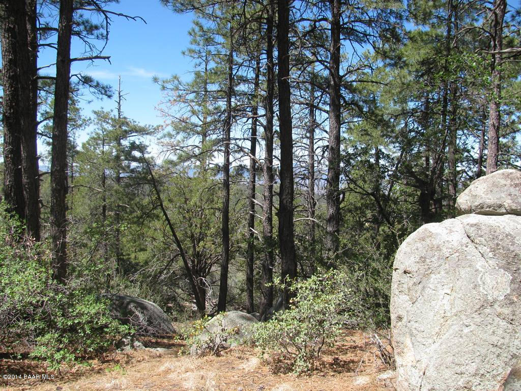 Lot 013 Copper Basin Road Prescott, AZ 86303 - Photo 7 of 10 a view of a yard with large trees