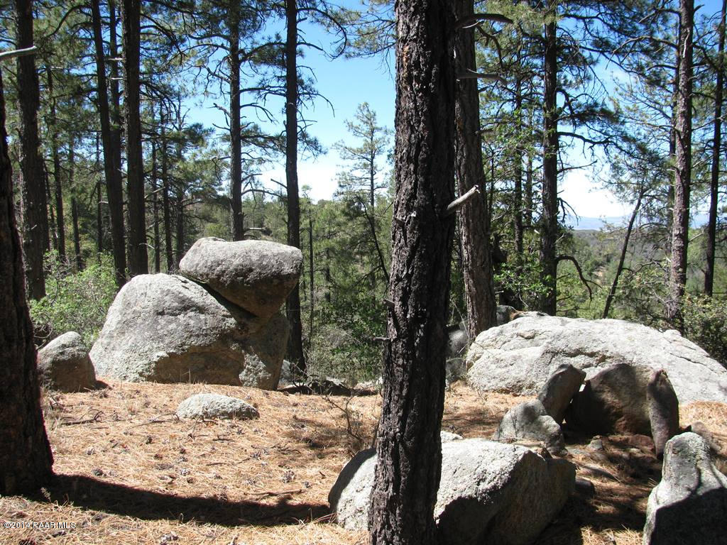 Lot 013 Copper Basin Road Prescott, AZ 86303 - Photo 10 of 10 a view of a backyard of a house