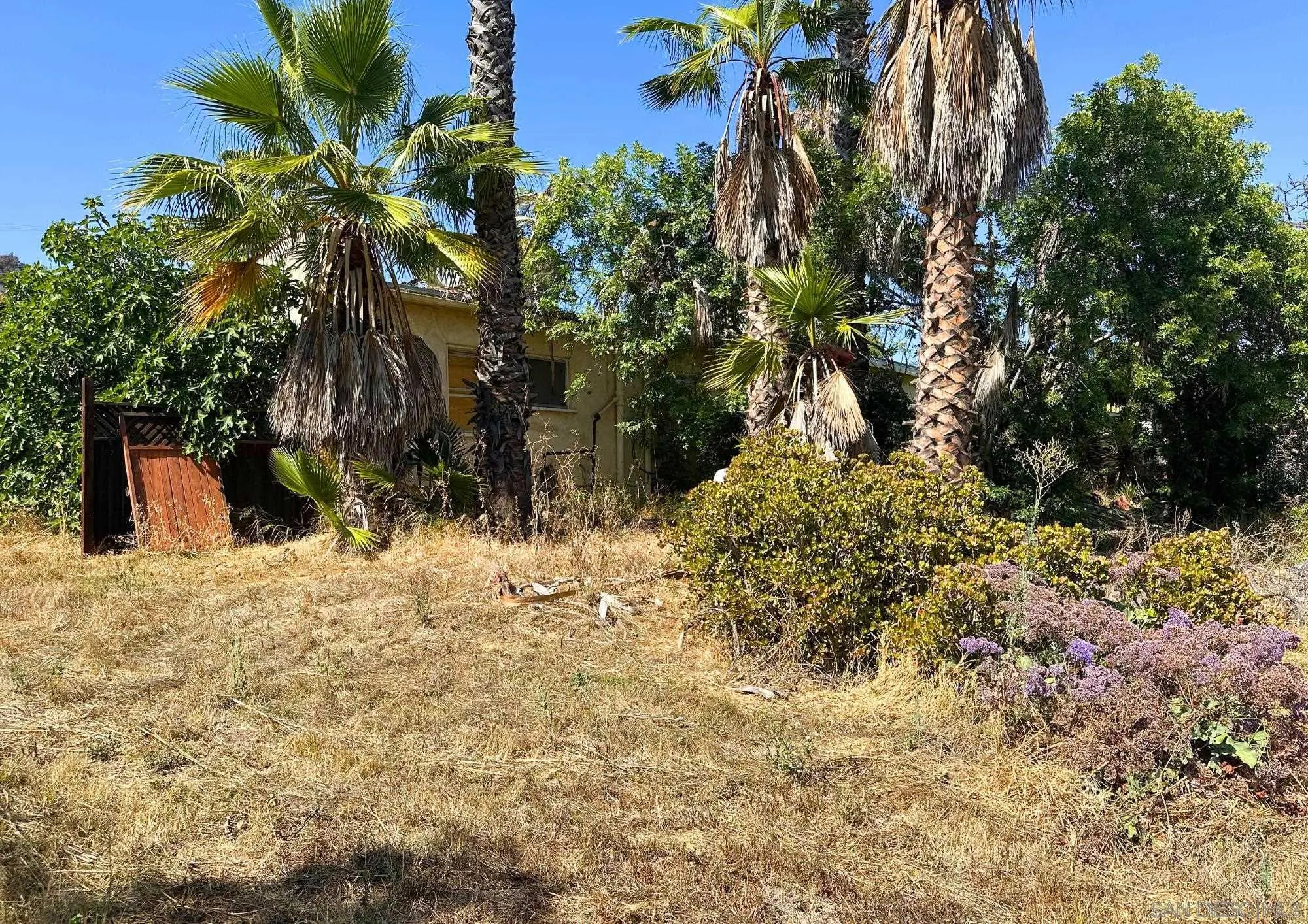 3257 Central Avenue Spring Valley, CA 91977 - Photo 12 of 21