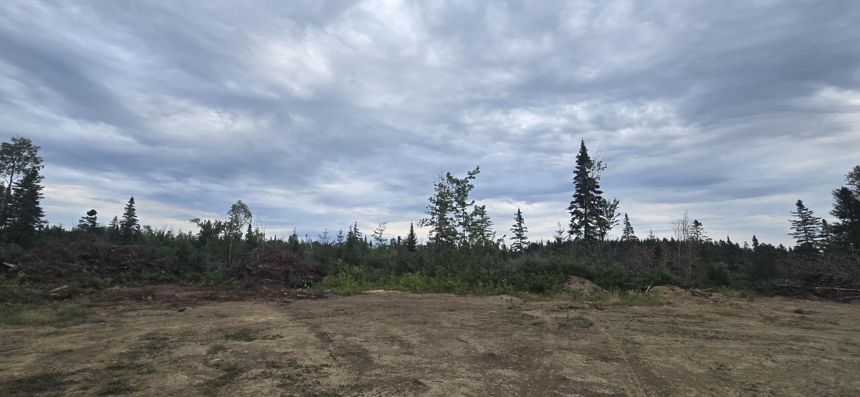 Map23 Map23 Lot33 St. David, ME 04773 - Photo 5 of 8 20260810_172427